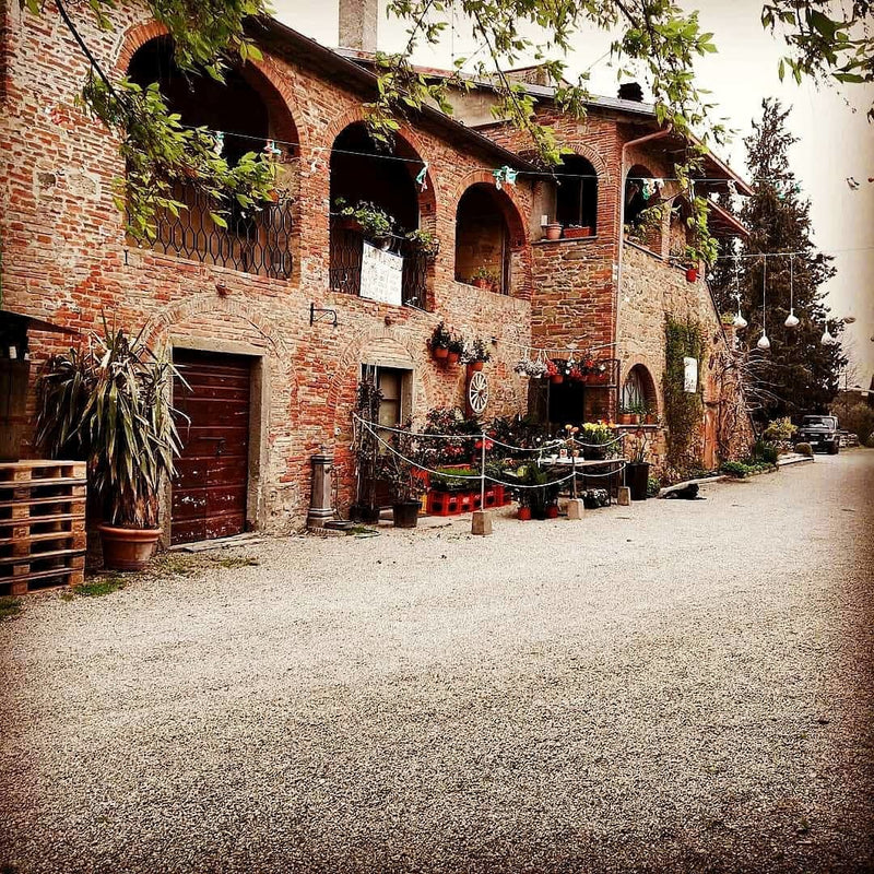 Azienda Agricola San Luciano / アジィエンダ・アグリコーラ・サン・ルチアーノ