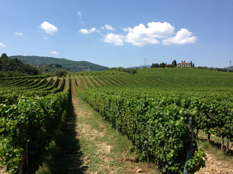 Azienda Agricola F.lli Grati / アジィエンダ・アグリコーラ・グラーティ
