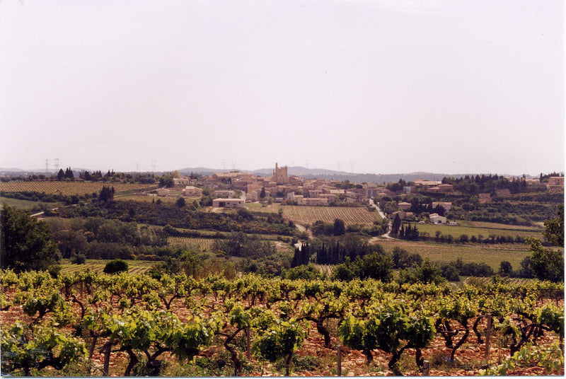 Les Vignerons d’Estézargues エステザルグ協同組合