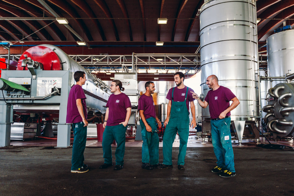 メルロー ルビコーネ オーガニック