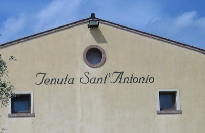 スポンサ ヴェロネーゼ2021