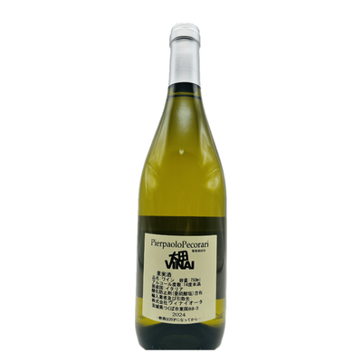 マルヴァジーア2024